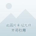 萌宝来袭二爷强势宠