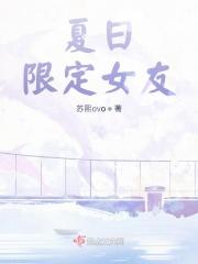 夏日限定什么意思