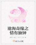 沧海情仇电视剧