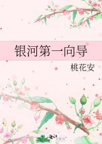 银河第一向导结局解析