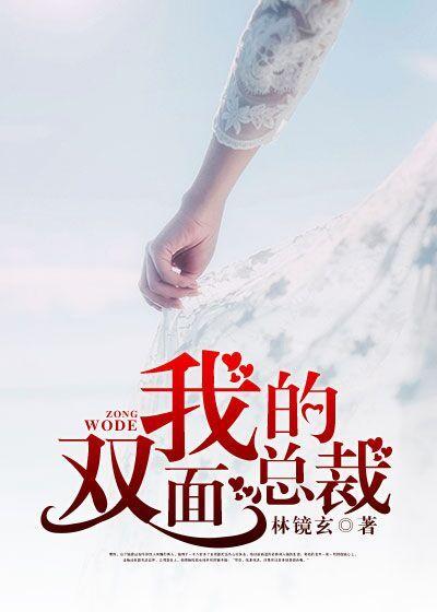 我的双面总裁无弹窗