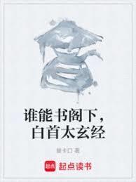 白首太玄经什么意思