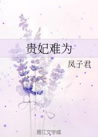 贵妃难为女主长得像谁
