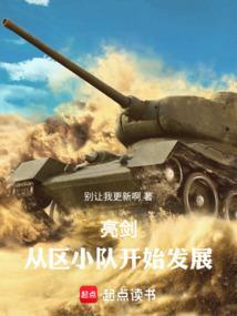 亮剑从区小队开始发展免费